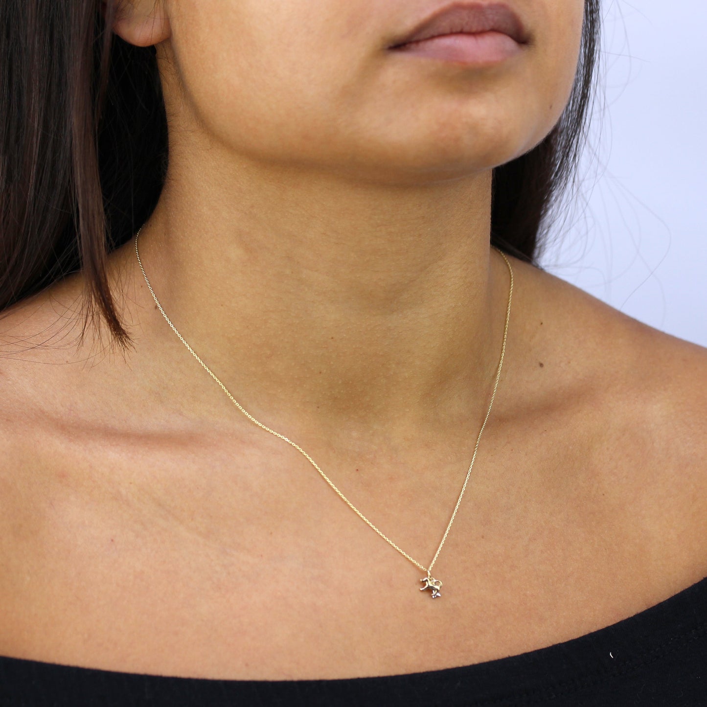 Hundeanhänger aus 9 Karat Gelbgold mit Knochen aus 9 Karat Weißgold an Kette, 16–20 Zoll