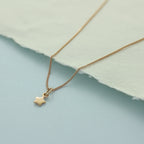Roségold-beschichtete Halskette aus Sterlingsilber mit kleinem Stern 14–32 Zoll