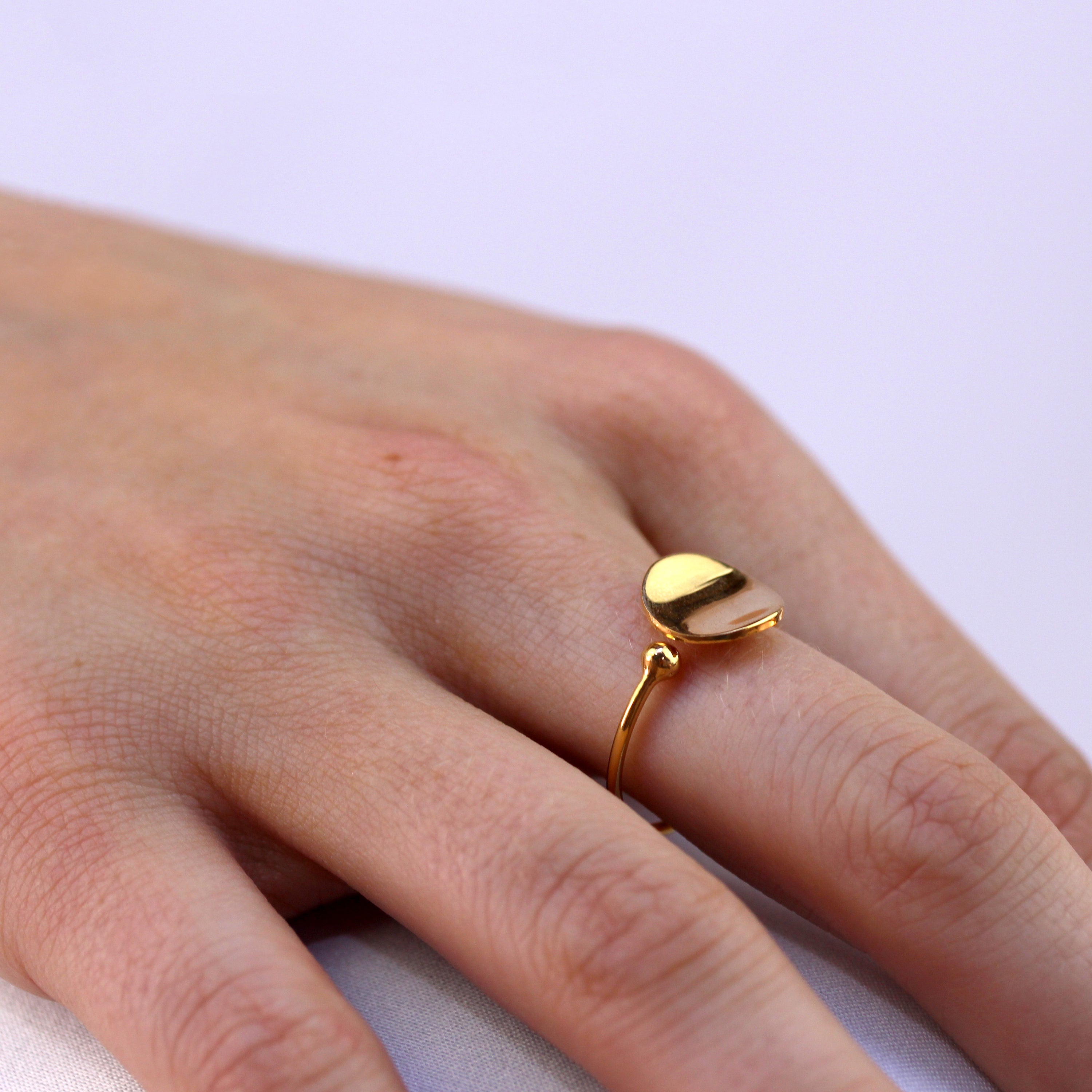 Vergoldet Sterlingsilber Rund Ring Größenverstellbar