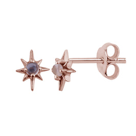 Rosévergoldet Sterlingsilber Strahlenkranz Mondstein Ohrstecker