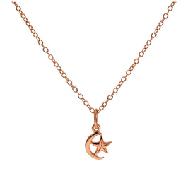 Kleine Halskette aus rosévergoldetem Sterlingsilber mit Mond und Stern 14–22 Zoll