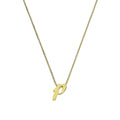 Kleine 9 Karat Gold-Anhänger mit Buchstabe P, 16–20 Zoll
