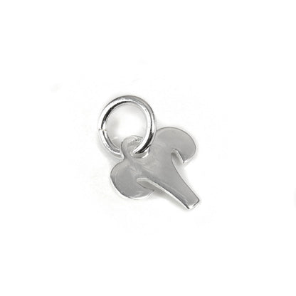 Kleine Sterling Silber 2D Tierkreiszeichen Charms