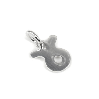 Kleine Sterling Silber 2D Tierkreiszeichen Charms