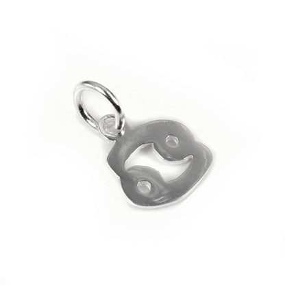 Kleine Sterling Silber 2D Tierkreiszeichen Charms