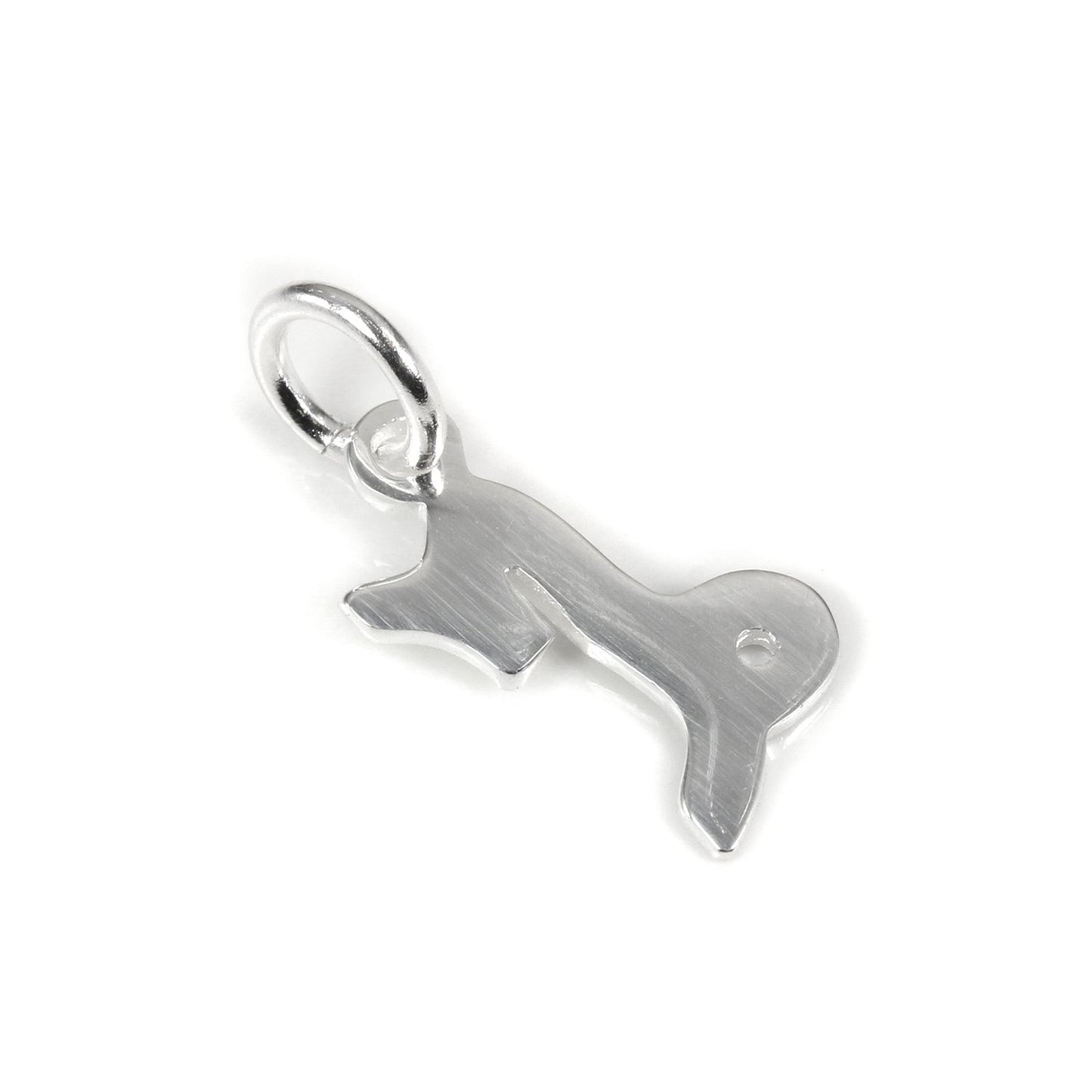 Kleine Sterling Silber 2D Tierkreiszeichen Charms