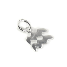 Klein Sterlingsilber 2D Wassermann Symbol Anhänger