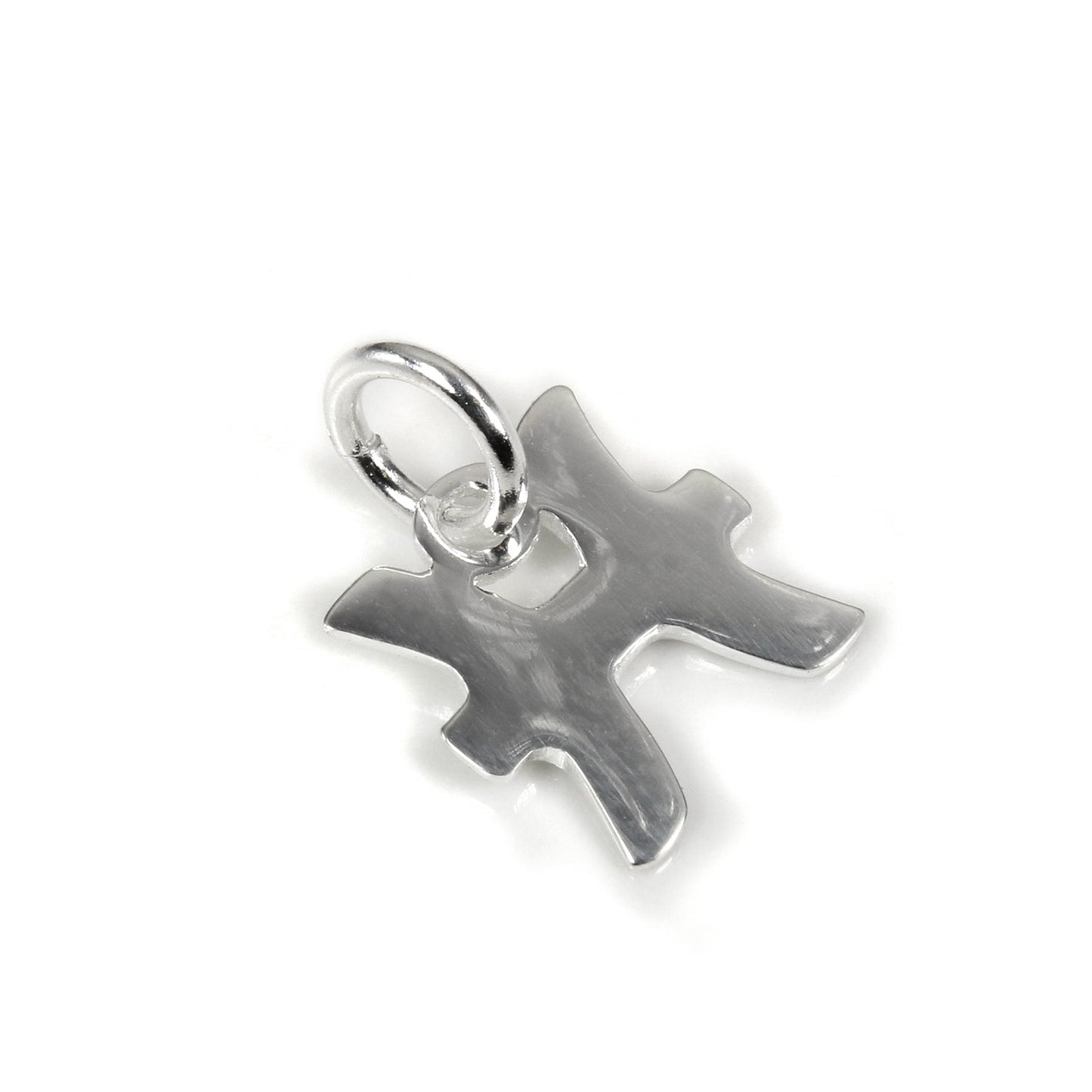 Kleine Sterling Silber 2D Tierkreiszeichen Charms