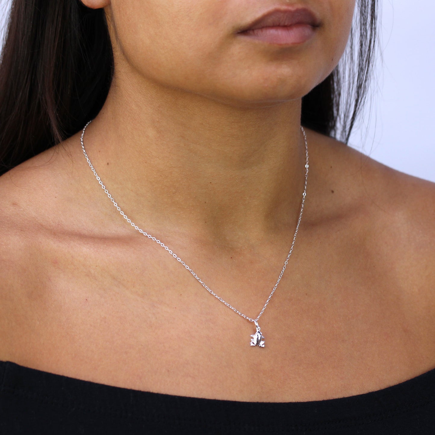 Sterling Silber Frosch Halskette 16–22 Zoll