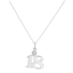 Sterlingsilber 18 Anhänger mit klarem CZ-Kristallherz an Kette 16–24 Zoll