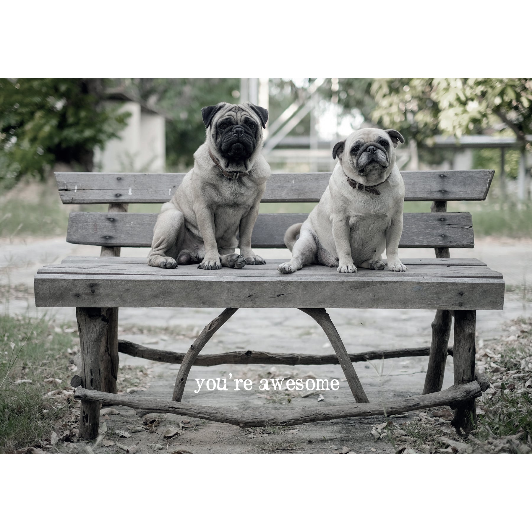 Hübsche Mops Geschenkkarte - mit Nachricht